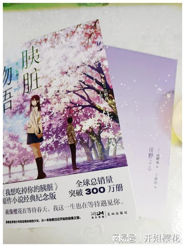 拯救可爱猫王